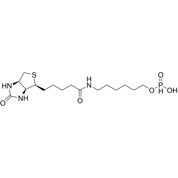6-N-Biotinylaminohexyl hydrogenphosphonate 224583-35-1